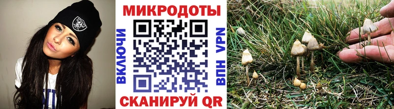 кракен как войти  Нелидово  Галлюциногенные грибы прущие грибы  купить  цена 